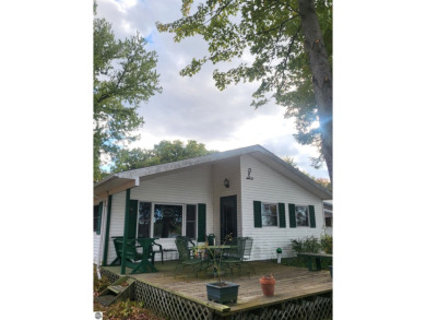 Long Lake - Iosco County Home For Sale in Hale Michigan