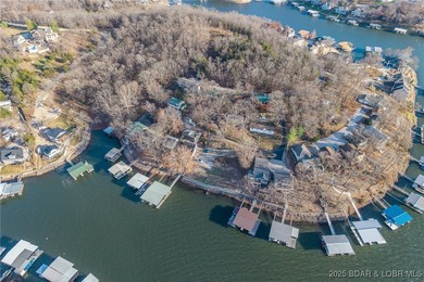 Rare Double Lakefront Lot in Highly Desirable Linn Creek Cove! - photo 20