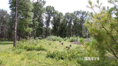 Lake Camelot Deeded Lake Access wooded parcel close to the - photo 2