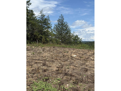 Prime building lot (Lot 29) overlooking the Norfork river, city - photo 2