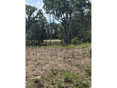 Prime building lot (Lot 29) overlooking the Norfork river, city - photo 8