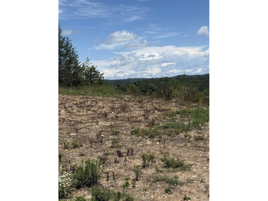 Prime building lot (Lot 29) overlooking the Norfork river, city - photo 9