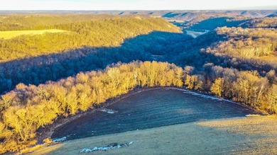 (private lake, pond, creek) Acreage For Sale in Cochrane Wisconsin