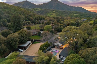 No detail has been overlooked in this extraordinary 4+BD/3.5BA - photo 8