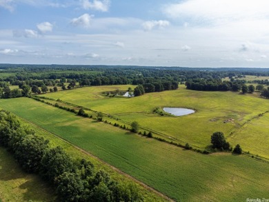 (private lake, pond, creek) Acreage For Sale in Rector Arkansas