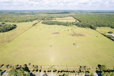 Lake Beresford Acreage For Sale in Deland Florida