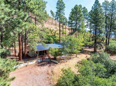 Lake Home For Sale in Bayfield, Colorado