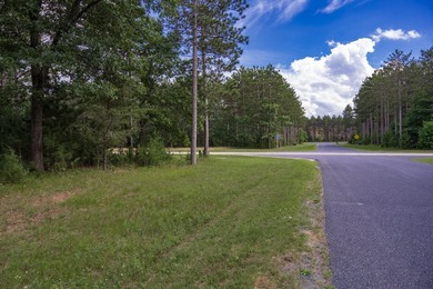 Build your Castle Rock Lake getaway on this 1.5-acre wooded lot - photo 1