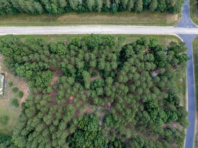 Build your Castle Rock Lake getaway on this 1.5-acre wooded lot - photo 2