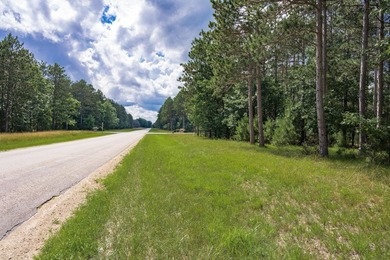 Build your Castle Rock Lake getaway on this 1.5-acre wooded lot - photo 3