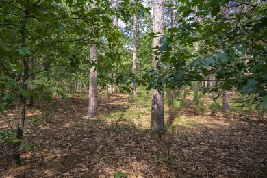 Build your Castle Rock Lake getaway on this 1.5-acre wooded lot - photo 4