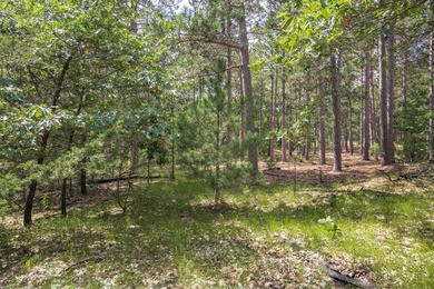 Build your Castle Rock Lake getaway on this 1.5-acre wooded lot - photo 5