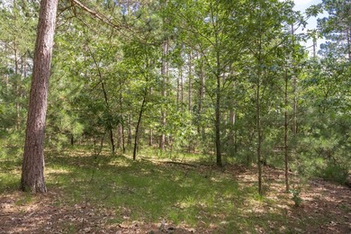 Build your Castle Rock Lake getaway on this 1.5-acre wooded lot - photo 6