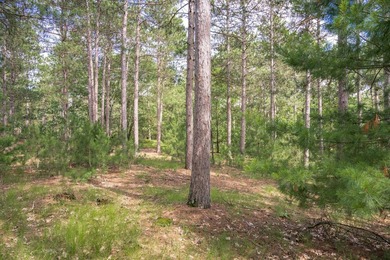 Build your Castle Rock Lake getaway on this 1.5-acre wooded lot - photo 7