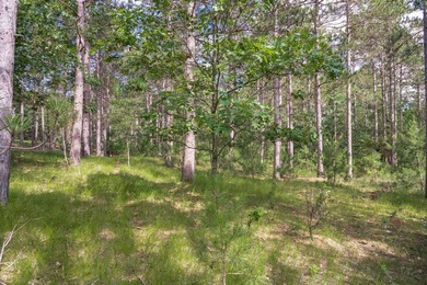 Build your Castle Rock Lake getaway on this 1.5-acre wooded lot - photo 8