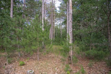 Build your Castle Rock Lake getaway on this 1.5-acre wooded lot - photo 9