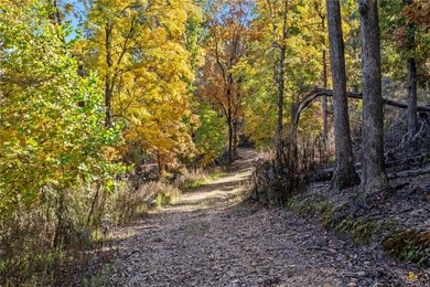 Looking for rural, secluded lake area living? This 3.75 acre - photo 4