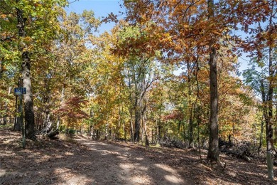 Looking for rural, secluded lake area living? This 3.75 acre - photo 5