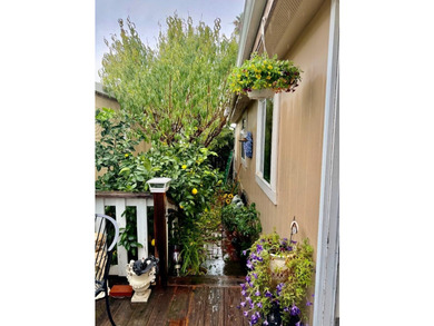 Welcome to this charming 3-bedroom, 2-bathroom home in the - photo 9