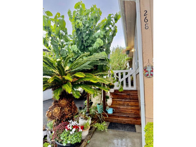 Welcome to this charming 3-bedroom, 2-bathroom home in the - photo 10