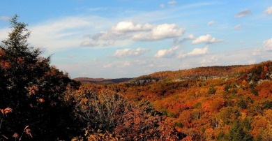 .66 Acre Lake View Lake Cumberland Building Lot w Close Ramp - photo 25