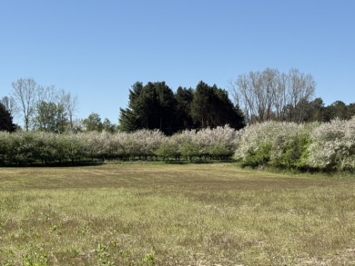 (private lake, pond, creek) Acreage Sale Pending in Romeo Michigan