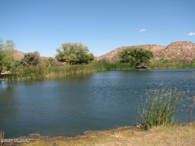 (private lake, pond, creek) Acreage For Sale in Saint David Arizona