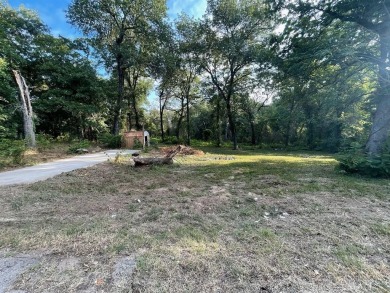Lake Lot For Sale in Tool, Texas