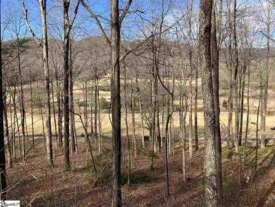 North Saluda Reservoir Lot For Sale in Travelers Rest South Carolina