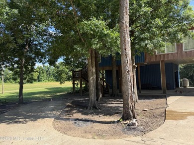 Wolf Lake Cabin! Ample outdoor living areas, decks, docks and - photo 30