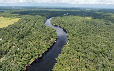 Suwannee River Acreage For Sale in Live Oak Florida