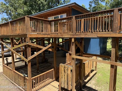 Wolf Lake Cabin! Ample outdoor living areas, decks, docks and - photo 50