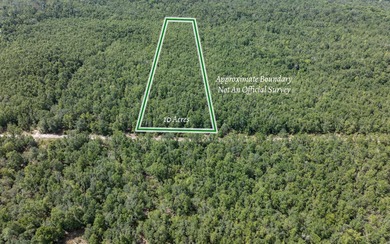 Suwannee River Acreage For Sale in Live Oak Florida