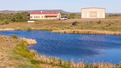 Lake Home For Sale in Arboles, Colorado
