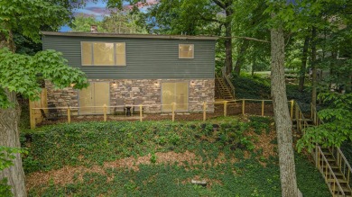 Lake Home For Sale in Big Rapids, Michigan