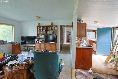 The Shop Steals the Show - But the House Comes Too!Let's be - photo 27