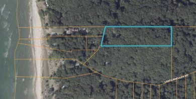 Award winning property on 2.5 wooded acres with Lake Michigan acc - photo 5