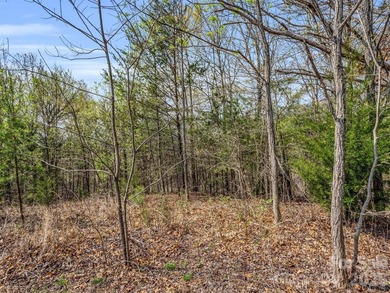 Beautiful golf course building lot, located overlooking the - photo 7