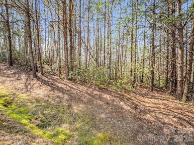 Beautiful golf course building lot, located overlooking the - photo 8