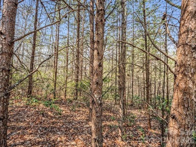 Beautiful golf course building lot, located overlooking the - photo 9