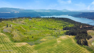 Round Lake Acreage For Sale in Harrison Idaho