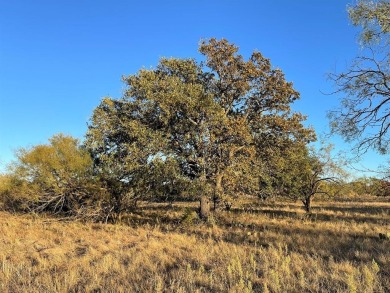 Lake Lot For Sale in Brownwood, Texas