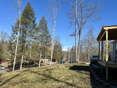 NEW DOUBLEWIDE WITH SEASONAL LAKE VIEW WOOD CREEK LAKE - photo 32