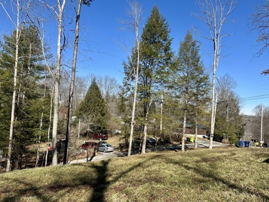 NEW DOUBLEWIDE WITH SEASONAL LAKE VIEW WOOD CREEK LAKE - photo 33
