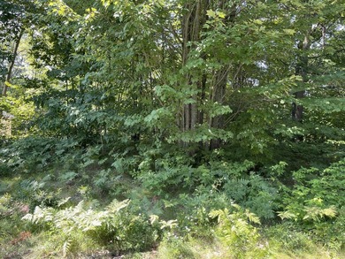 Golf course lot with approximately 300 ft of shared access to - photo 5