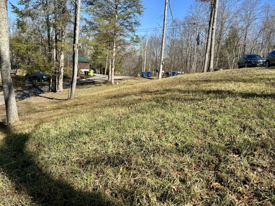 NEW DOUBLEWIDE WITH SEASONAL LAKE VIEW WOOD CREEK LAKE - photo 36