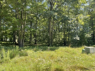 Golf course lot with approximately 300 ft of shared access to - photo 6