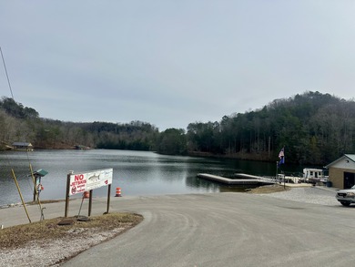 NEW DOUBLEWIDE WITH SEASONAL LAKE VIEW WOOD CREEK LAKE - photo 41