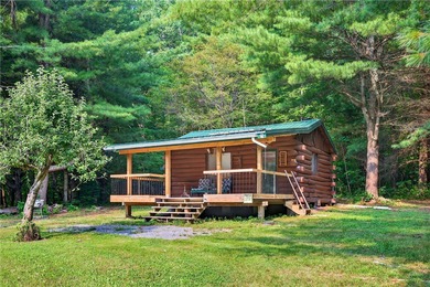 (private lake, pond, creek) Acreage For Sale in Branchport New York