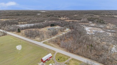 Lake Acreage For Sale in Fenwick, Michigan